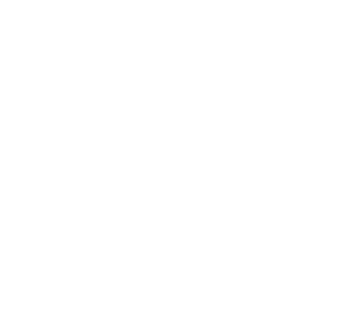 Logo geomulci